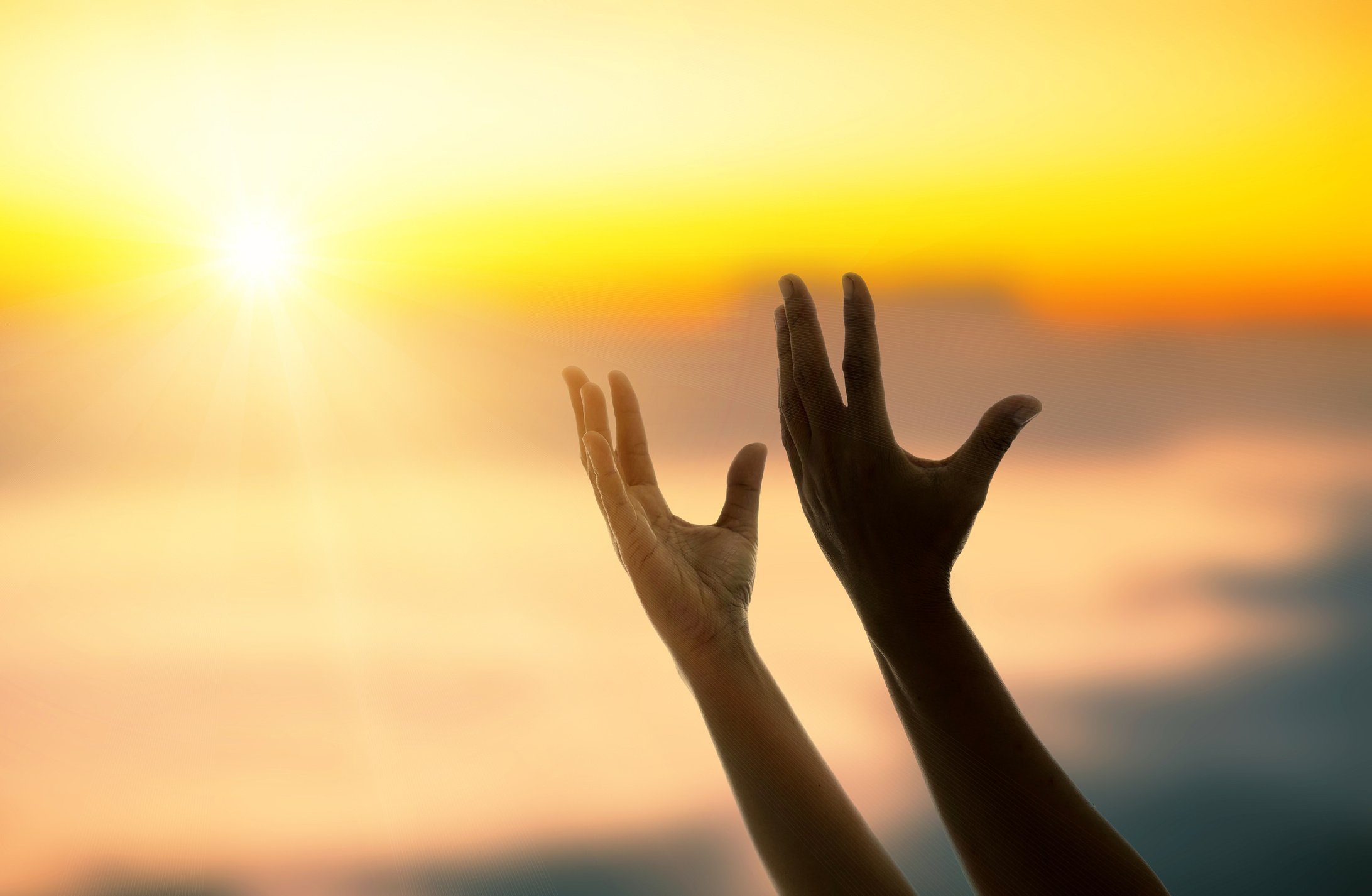 Praying Hands Against Sunlight