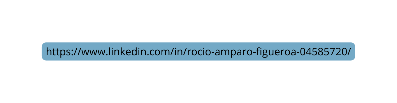 https www linkedin com in rocio amparo figueroa 04585720